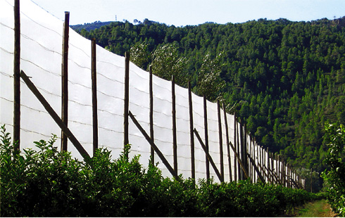 mallas agrícolas cortaviento