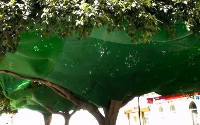 Mallas para arbolado urbano