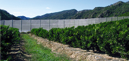 Mallas agrícolas corta vientos