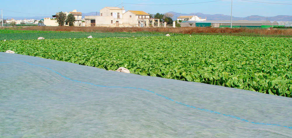 Mallas térmicas en huertos urbanos