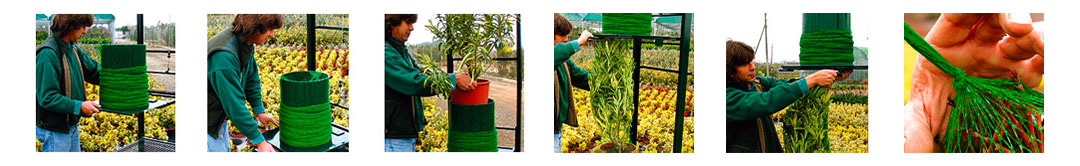 Proceso de embalado de plantas ornamentales